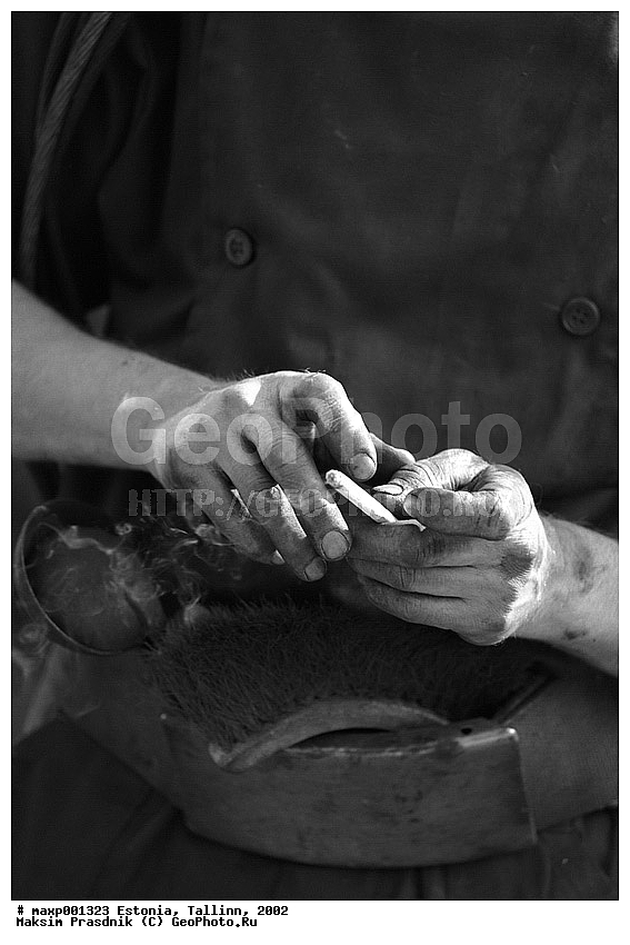 2002, �������� ��� �����������, ������, �������, ������, ���������, ���������, ����������