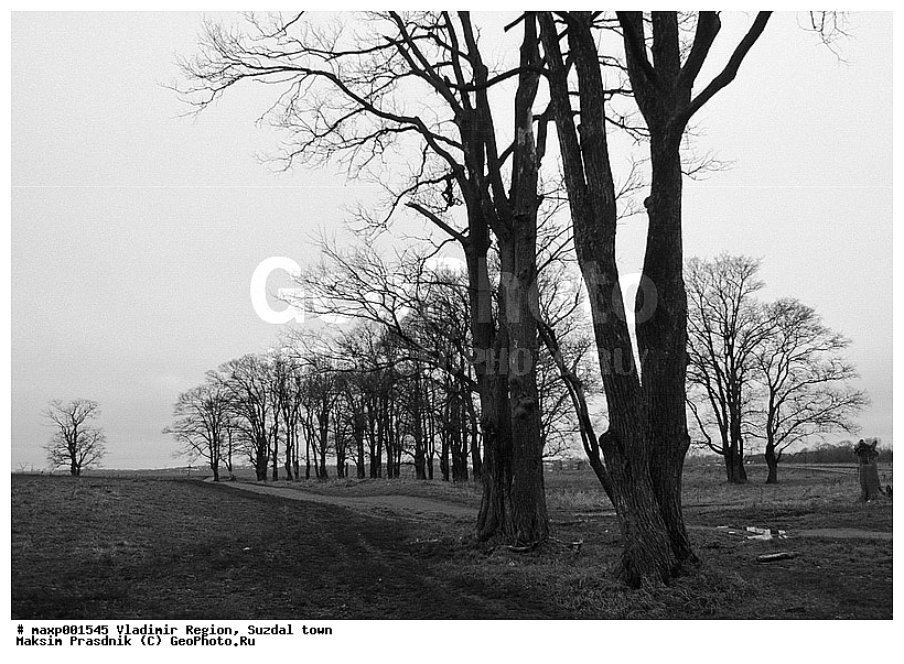 2003, ������������ �������, �������