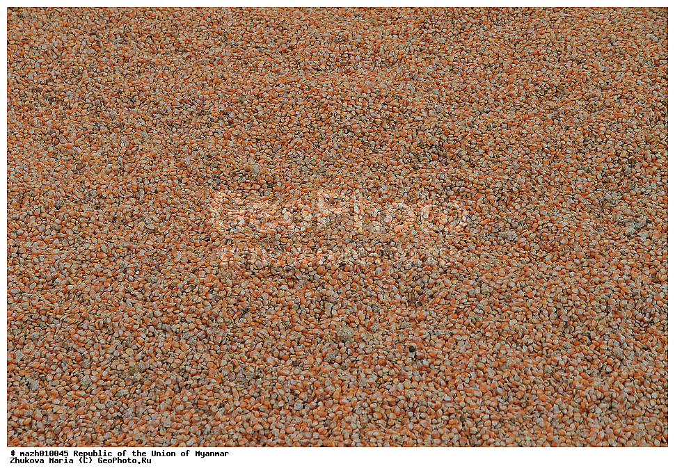 ������, �����, �������, ���, �����, ��������, ������