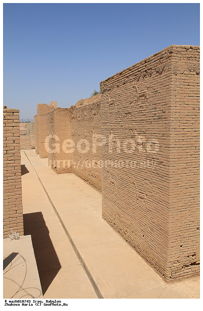 ����, �������, ������ �����, ������, ������, �������, ������, ��������, ���