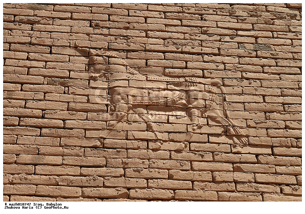 ����, �������, ������ ���������, ������ �����, �������� ����