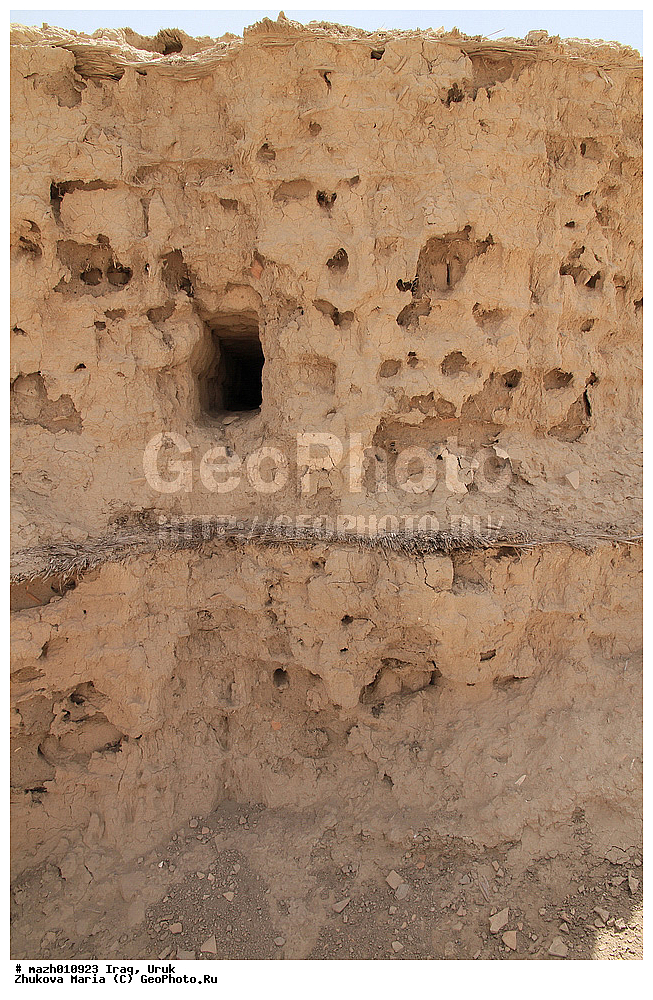 ����, ����, ������, �����-�����������, �����, ��������, ������, ������, ��������, ����, �����, ����, �������, ����