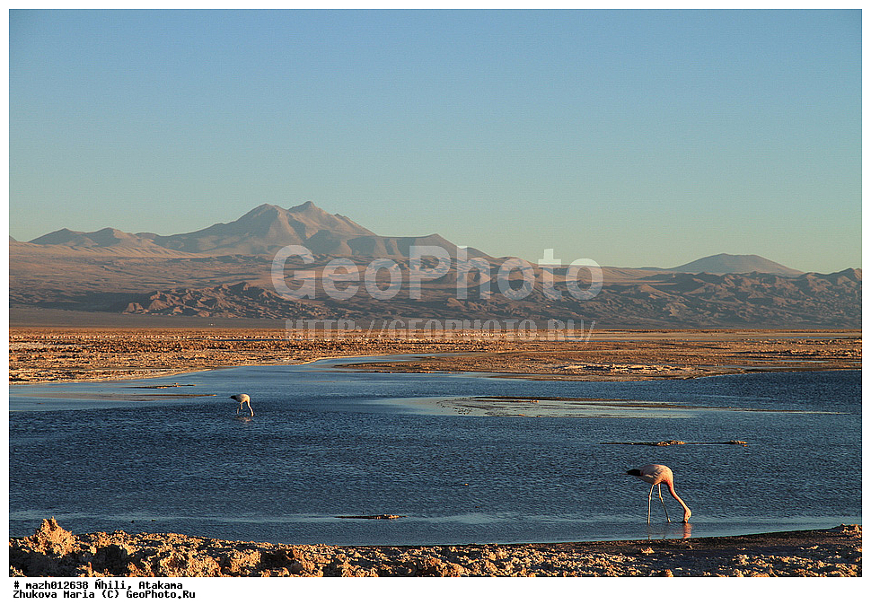 ����, �������, �������, ����, ����� ����