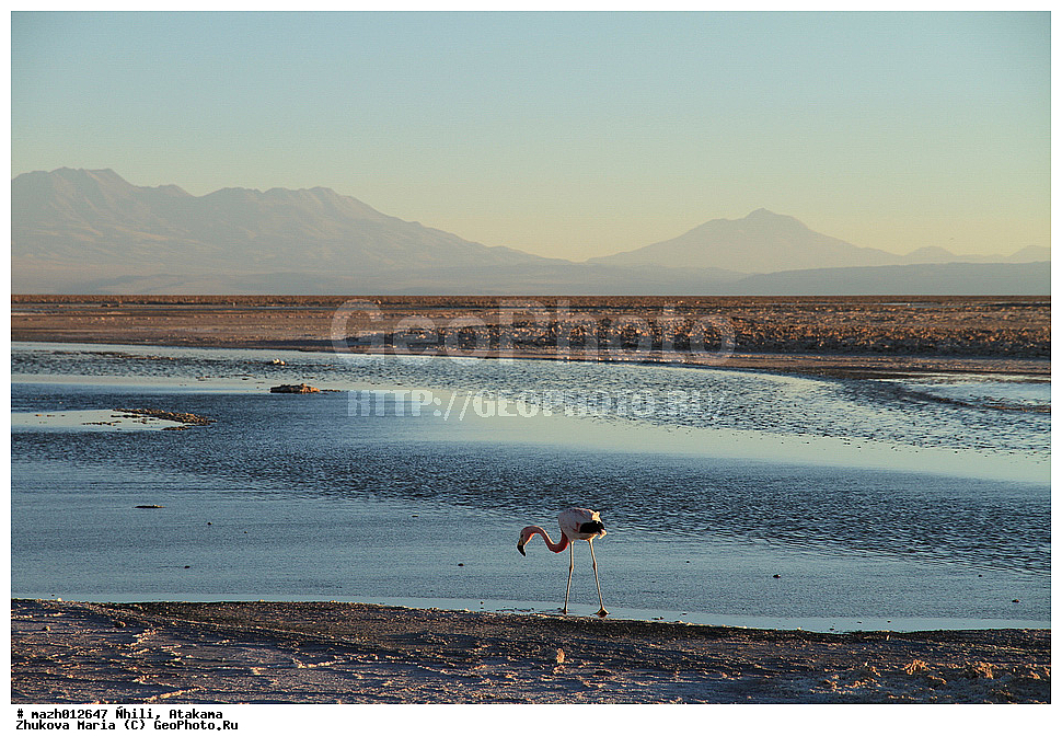 ����, �������, �������, ����, ����� ����