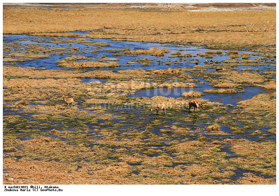 ����, �������, �������, ����, ����� ����