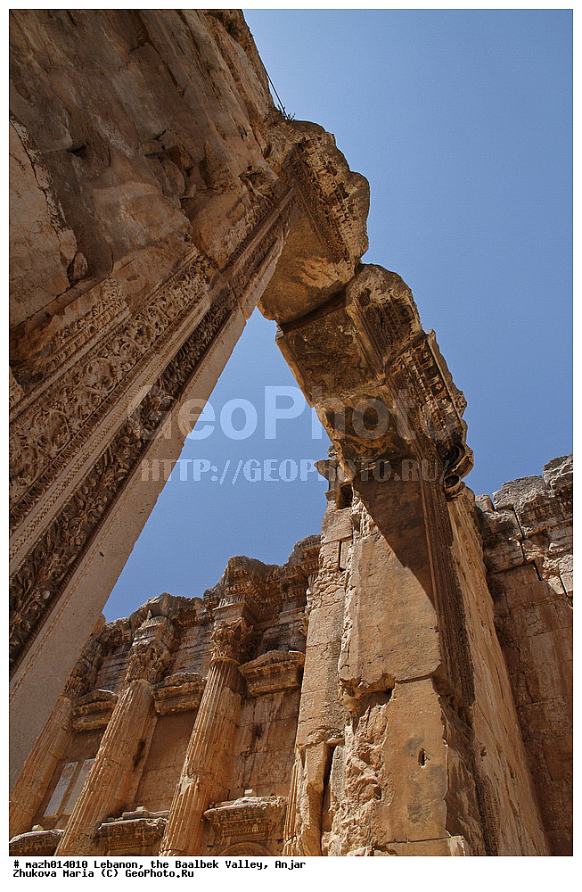  �����, ������ ��������, ������, ������� ������, ���������, �������, �������� ����, ����������, ���������