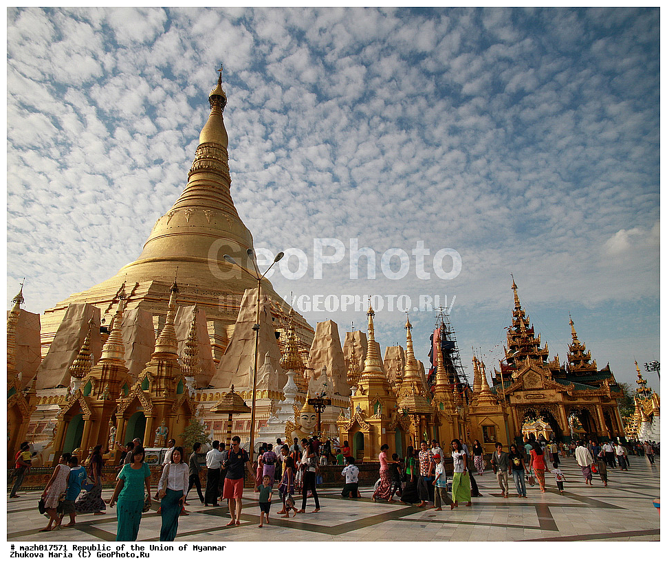 ������������� ���������, �����������, ������, �����, �����, �������, ���������, ��������, �������������, �������, ������, ��������