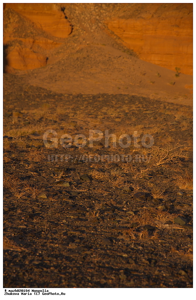 ��������, ����, �������������, �������, ����, ��������, ��������, ���������, ������, �������