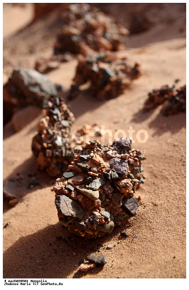 ��������, ����, ������-���, ������ ���, ������ ���, �����, ����