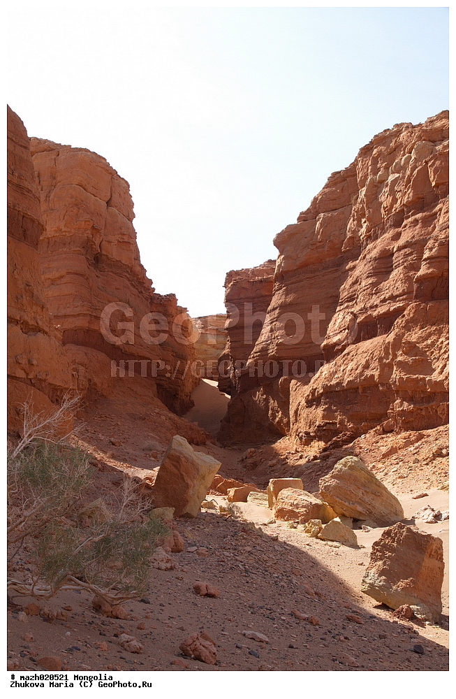 ��������, ����, ������-���, ������ ���, ������ ���, ����, ������, ����, �����, �������, �������