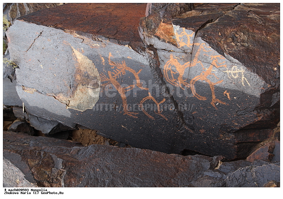 ��������, ����, ����������, �������, ����������, �������