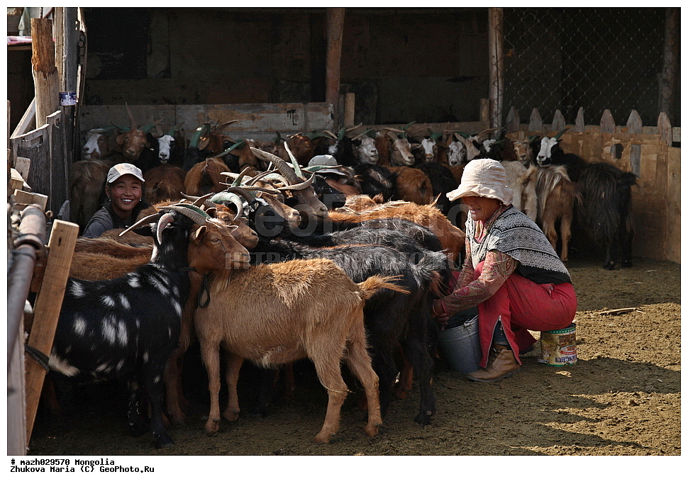 ��������, ����, ��������