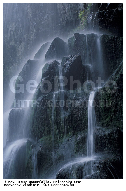 ��������, ����, ��������