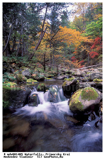 ��������, ����, ��������