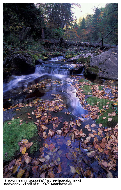 ��������, ����, ��������