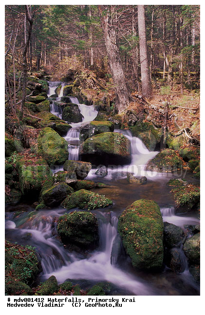 ��������, ����, ��������