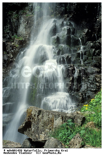 ��������, ����, ��������