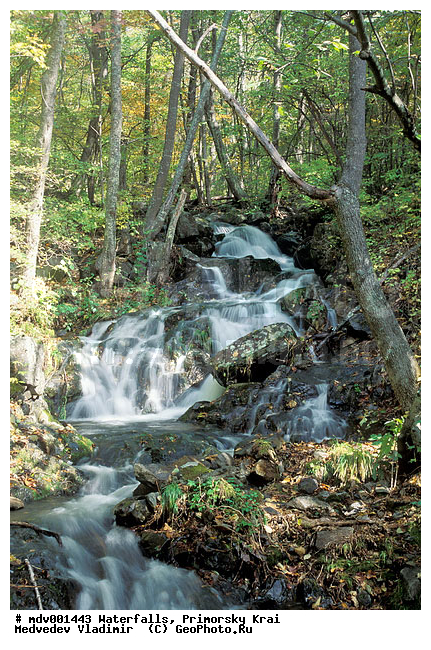 ��������, ����, ��������