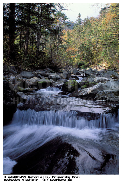 ��������, ����, ��������