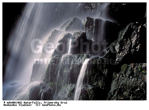 ��������, ����, ��������