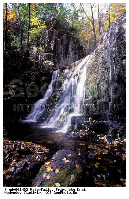 ��������, ����, ��������