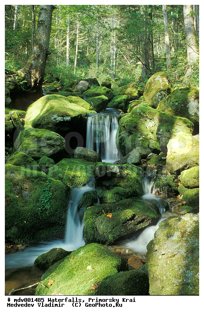 ��������, ����, ��������