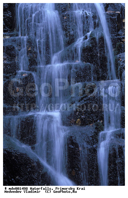 ��������, ����, ��������