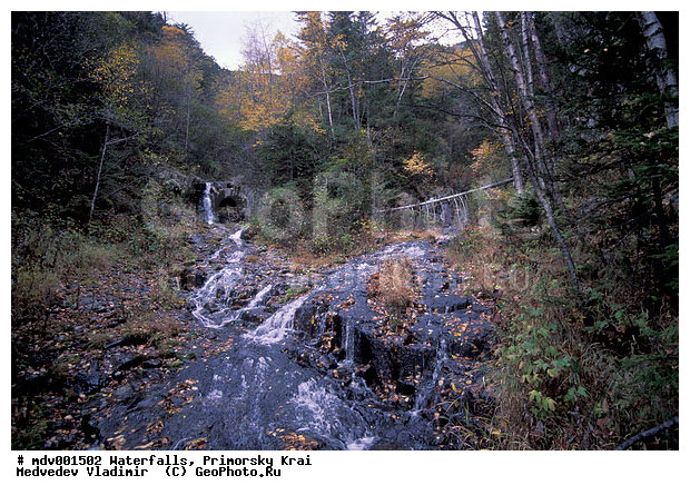 ��������, ����, ��������