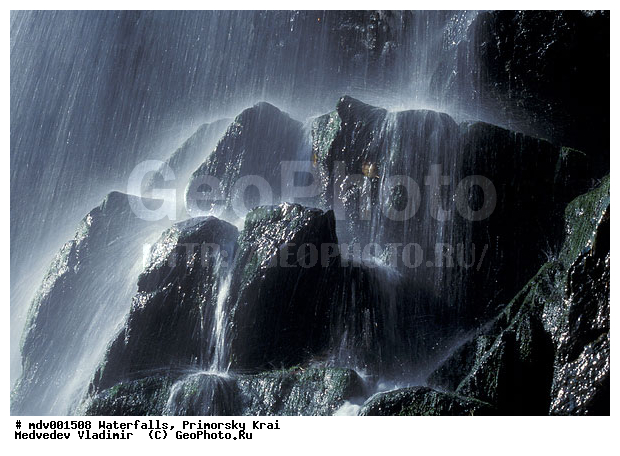 ��������, ����, ��������