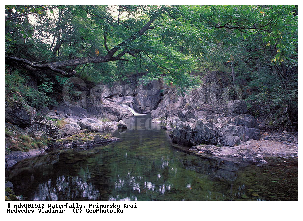 ��������, ����, ��������