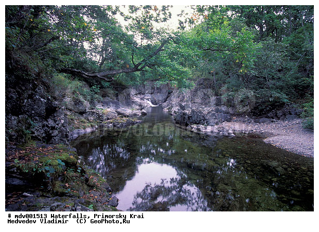 ��������, ����, ��������