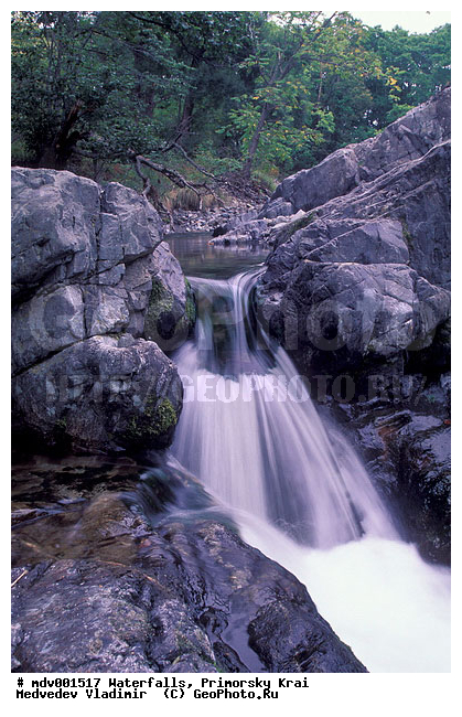 ��������, ����, ��������