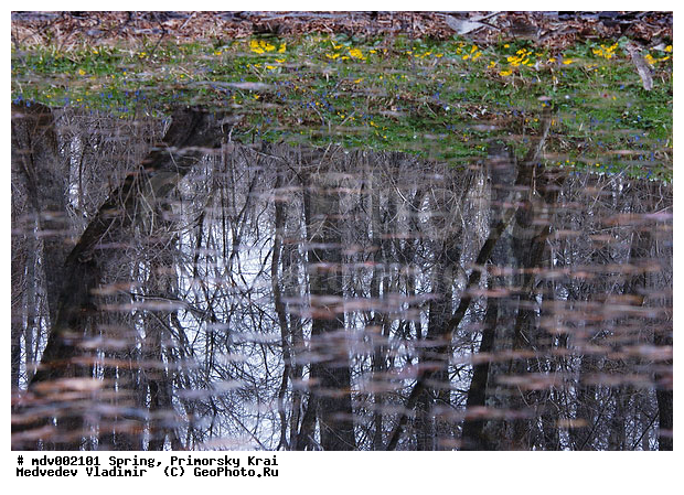 ��������, �����, ������� ����, �����, ������