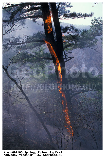 ��������, �����, ������� ����, �����, ������