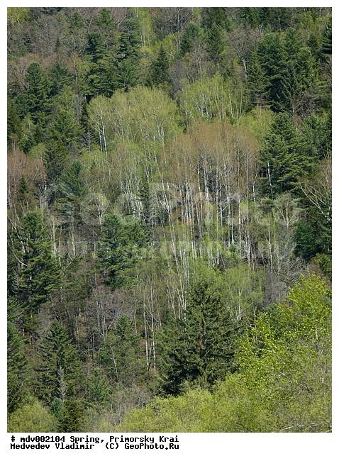 ��������, �����, ������� ����, �����, ������