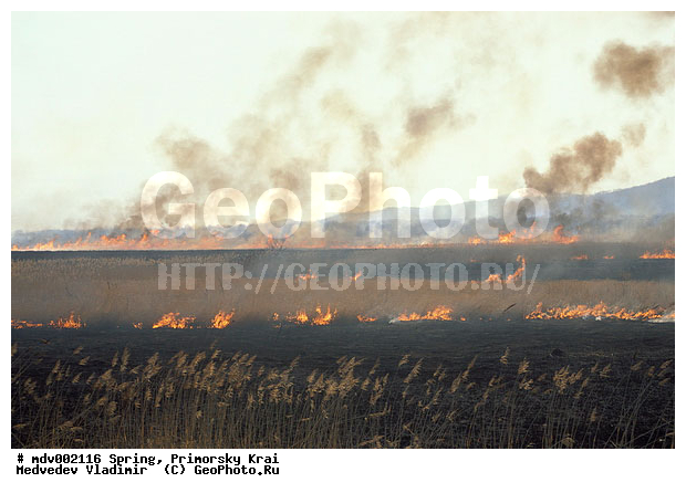 ��������, �����, ������� ����, �����, ������