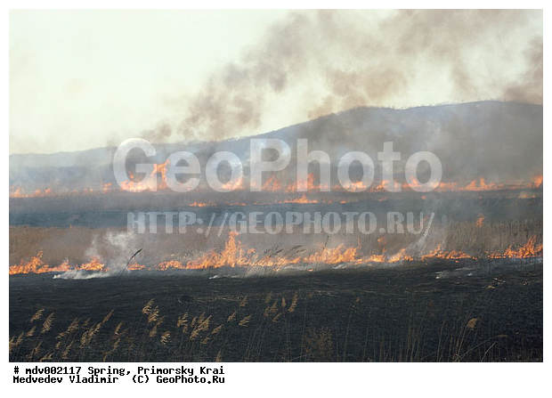 ��������, �����, ������� ����, �����, ������