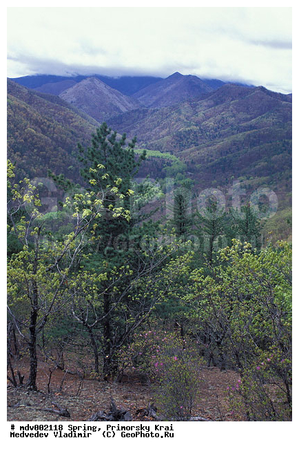 ��������, �����, ������� ����, �����, ������