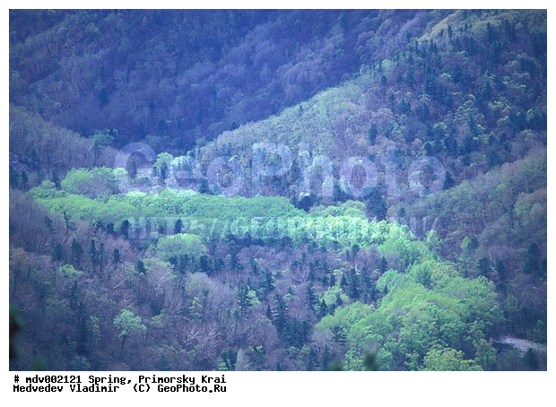 ��������, �����, ������� ����, �����, ������