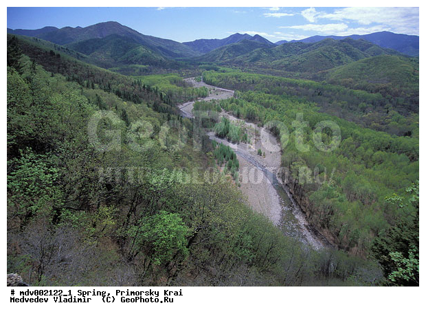 ��������, �����, ������� ����, �����, ������