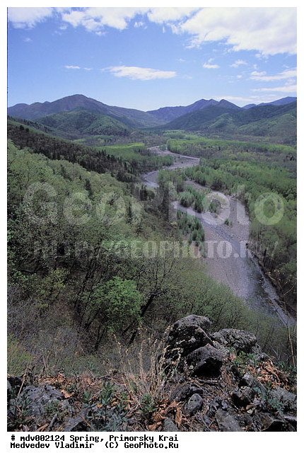 ��������, �����, ������� ����, �����, ������