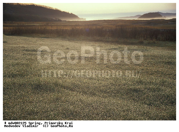 ��������, �����, ������� ����, �����, ������