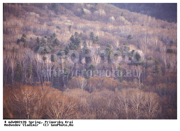 ��������, �����, ������� ����, �����, ������