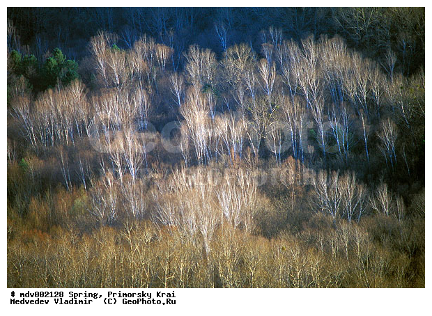 ��������, �����, ������� ����, �����, ������