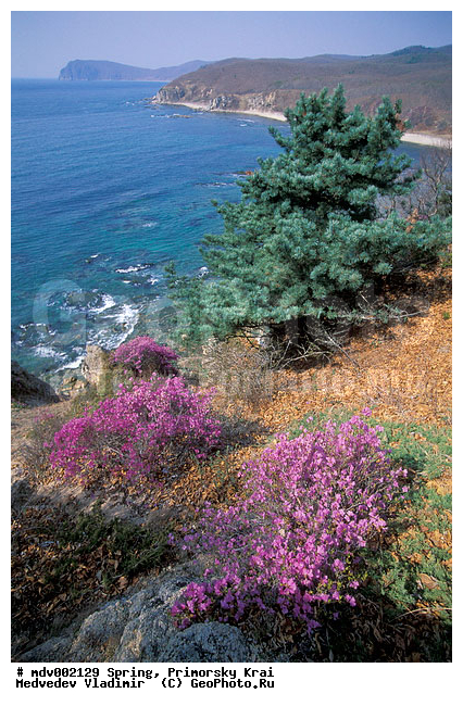 ��������, �����, ������� ����, �����, ������