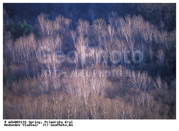 ��������, �����, ������� ����, �����, ������