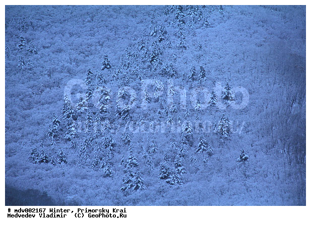 ��������, ������� ����, ����, �����, ������