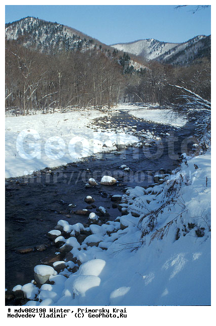 ��������, ������� ����, ����, �����, ������