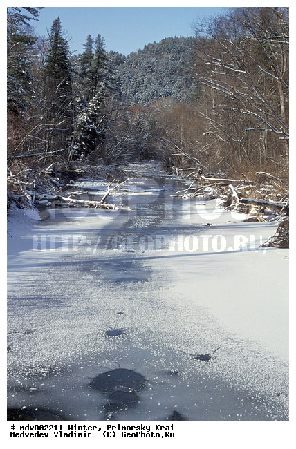 ��������, ������� ����, ����, �����, ������