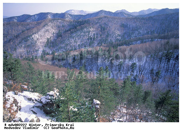 ��������, ������� ����, ����, �����, ������